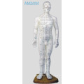 Иглоукалывание Модель человека (AM50M)